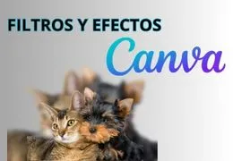 ¿Cómo aplicar filtros y efectos en Canva?