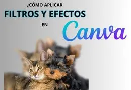 ¿Cómo aplicar filtros y efectos en Canva?